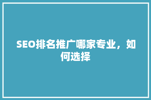SEO排名推广哪家专业，如何选择