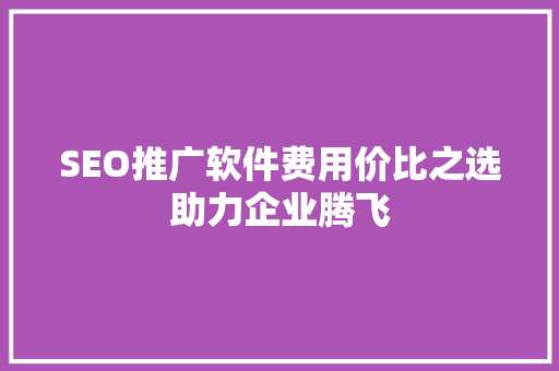 SEO推广软件费用价比之选助力企业腾飞