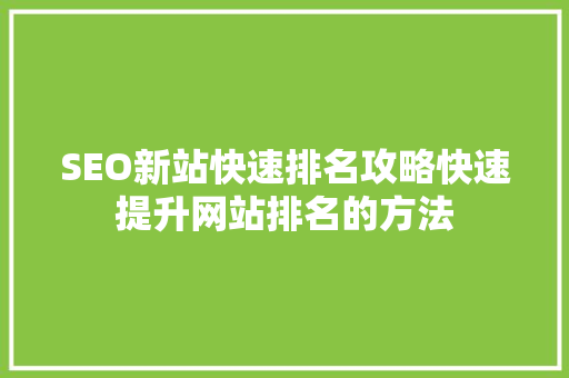 SEO新站快速排名攻略快速提升网站排名的方法