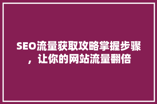 SEO流量获取攻略掌握步骤，让你的网站流量翻倍