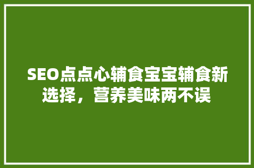 SEO点点心辅食宝宝辅食新选择，营养美味两不误