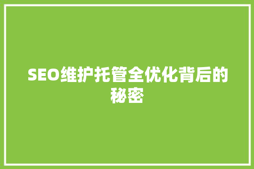 SEO维护托管全优化背后的秘密