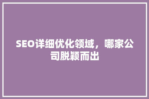 SEO详细优化领域，哪家公司脱颖而出