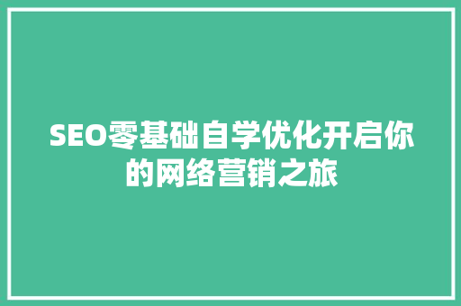 SEO零基础自学优化开启你的网络营销之旅