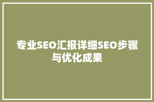 专业SEO汇报详细SEO步骤与优化成果 百度算法