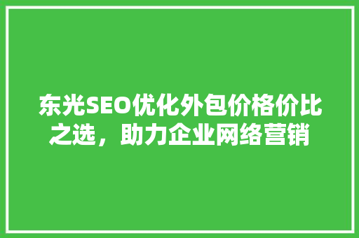 东光SEO优化外包价格价比之选，助力企业网络营销 小程序开发