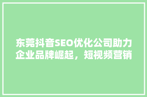 东莞抖音SEO优化公司助力企业品牌崛起，短视频营销之路