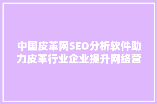 中国皮革网SEO分析软件助力皮革行业企业提升网络营销效果 小程序开发