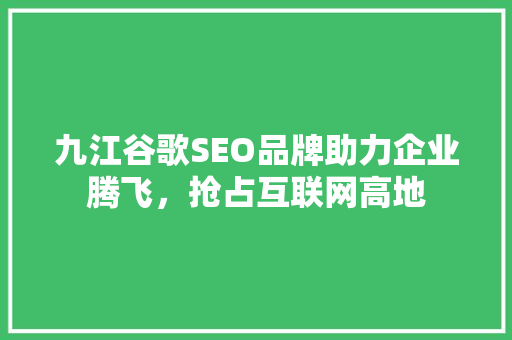 九江谷歌SEO品牌助力企业腾飞，抢占互联网高地