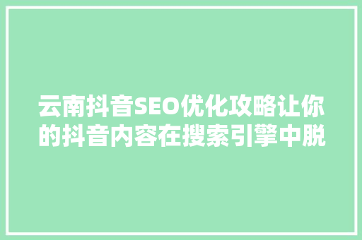 云南抖音SEO优化攻略让你的抖音内容在搜索引擎中脱颖而出