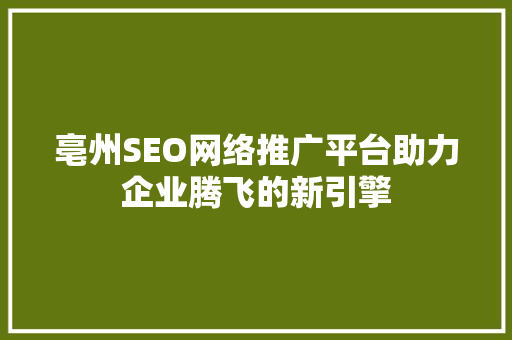 亳州SEO网络推广平台助力企业腾飞的新引擎