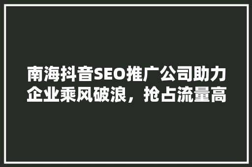 南海抖音SEO推广公司助力企业乘风破浪，抢占流量高地 百度算法