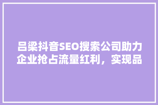 吕梁抖音SEO搜索公司助力企业抢占流量红利，实现品牌飞跃