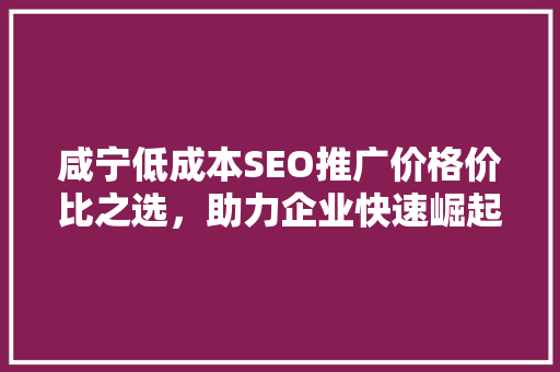咸宁低成本SEO推广价格价比之选，助力企业快速崛起 seo技术