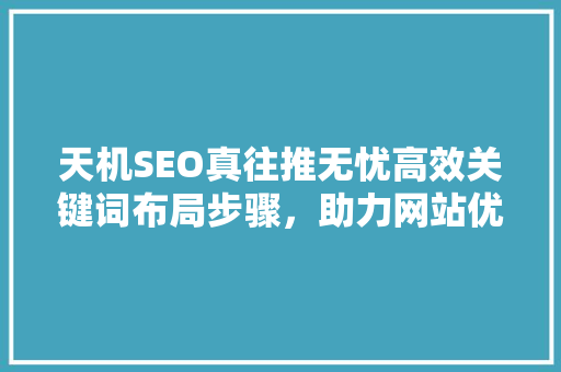 天机SEO真往推无忧高效关键词布局步骤，助力网站优化脱颖而出 百度算法