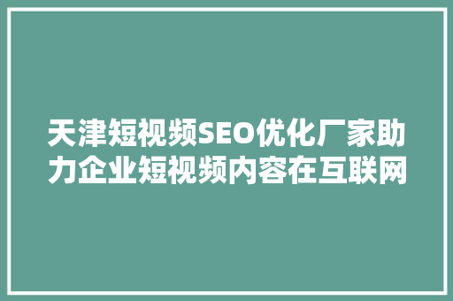 天津短视频SEO优化厂家助力企业短视频内容在互联网上脱颖而出