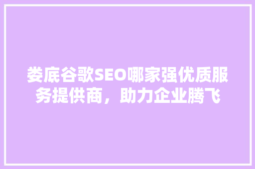 娄底谷歌SEO哪家强优质服务提供商，助力企业腾飞 百度算法