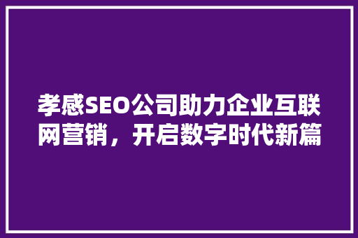 孝感SEO公司助力企业互联网营销，开启数字时代新篇章