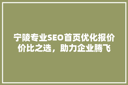 宁陵专业SEO首页优化报价价比之选，助力企业腾飞