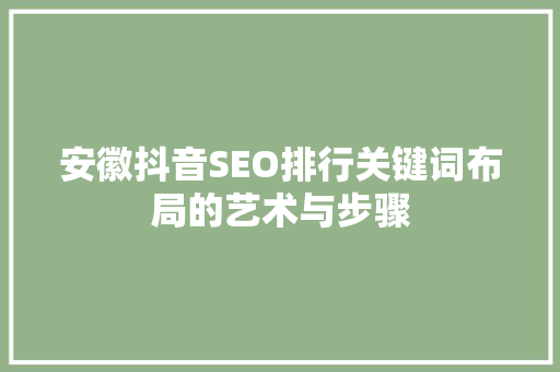 安徽抖音SEO排行关键词布局的艺术与步骤