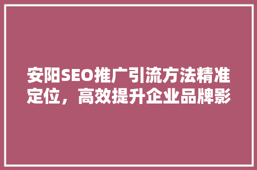 安阳SEO推广引流方法精准定位，高效提升企业品牌影响力