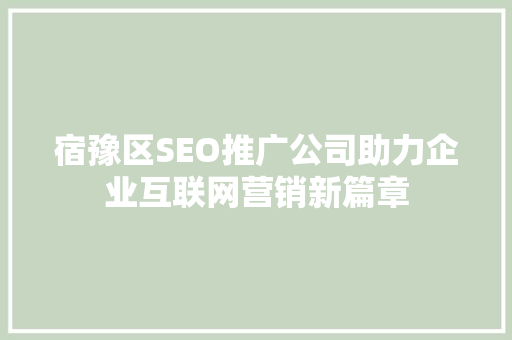 宿豫区SEO推广公司助力企业互联网营销新篇章 seo技术