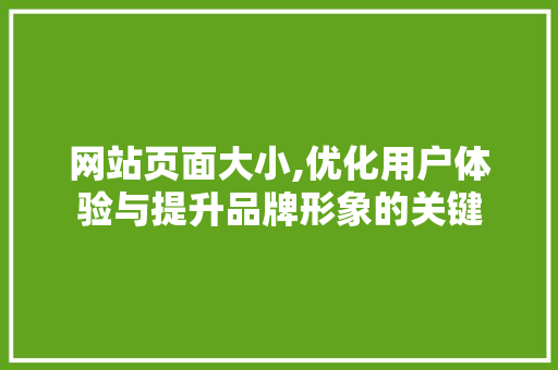 网站页面大小,优化用户体验与提升品牌形象的关键 网站页面大小,优化用户体验与提升品牌形象的关键 小程序开发