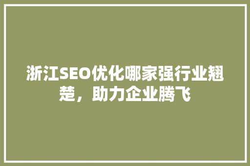 浙江SEO优化哪家强行业翘楚，助力企业腾飞 网站优化