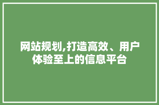 网站规划,打造高效、用户体验至上的信息平台 网站规划,打造高效、用户体验至上的信息平台 头条优化