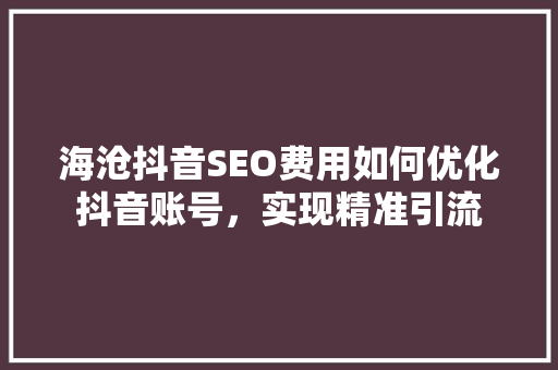 海沧抖音SEO费用如何优化抖音账号，实现精准引流