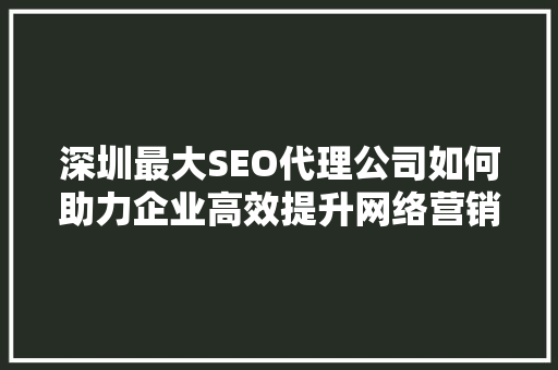 深圳最大SEO代理公司如何助力企业高效提升网络营销效果