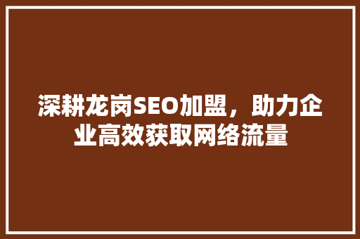 深耕龙岗SEO加盟，助力企业高效获取网络流量