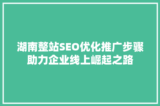 湖南整站SEO优化推广步骤助力企业线上崛起之路 头条优化