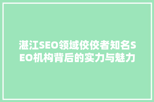 湛江SEO领域佼佼者知名SEO机构背后的实力与魅力