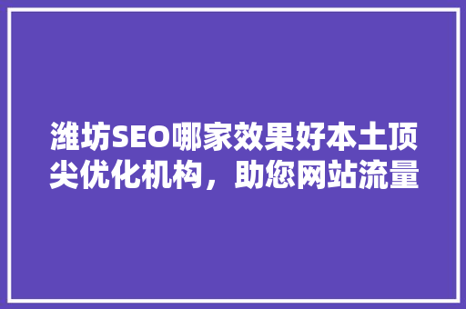 潍坊SEO哪家效果好本土顶尖优化机构，助您网站流量翻倍