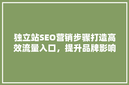 独立站SEO营销步骤打造高效流量入口，提升品牌影响力