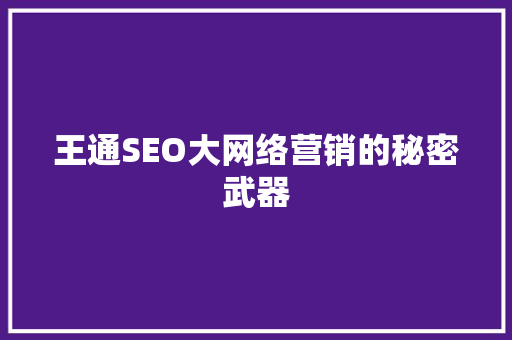 王通SEO大网络营销的秘密武器