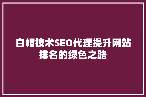白帽技术SEO代理提升网站排名的绿色之路
