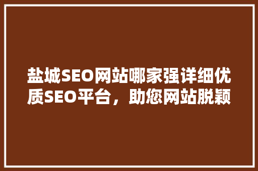 盐城SEO网站哪家强详细优质SEO平台，助您网站脱颖而出