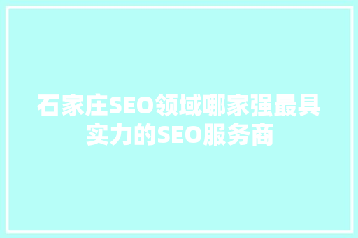 石家庄SEO领域哪家强最具实力的SEO服务商