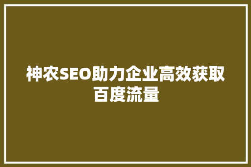 神农SEO助力企业高效获取百度流量