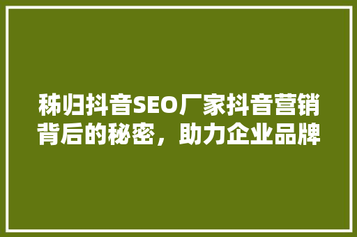 秭归抖音SEO厂家抖音营销背后的秘密，助力企业品牌崛起 360搜优化