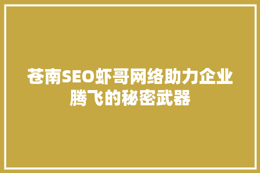 苍南SEO虾哥网络助力企业腾飞的秘密武器