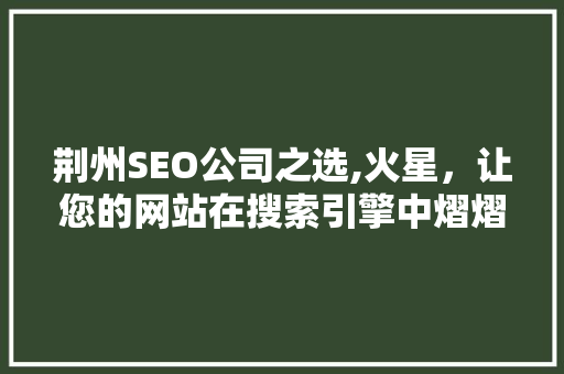 荆州SEO公司之选,火星，让您的网站在搜索引擎中熠熠生辉