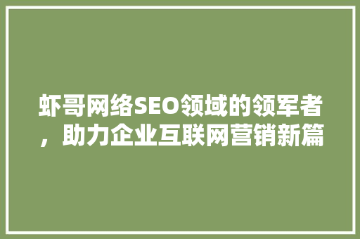 虾哥网络SEO领域的领军者，助力企业互联网营销新篇章