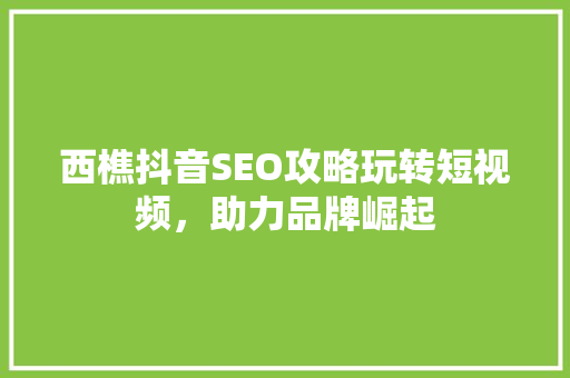 西樵抖音SEO攻略玩转短视频，助力品牌崛起 seo技术