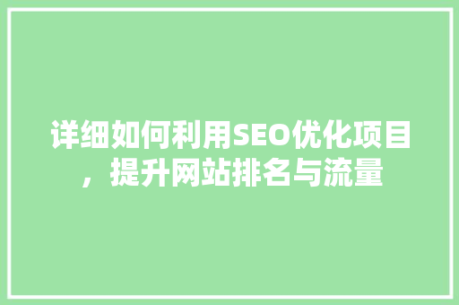 详细如何利用SEO优化项目，提升网站排名与流量