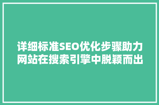 详细标准SEO优化步骤助力网站在搜索引擎中脱颖而出