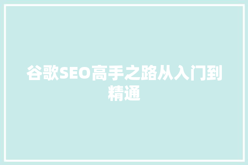 谷歌SEO高手之路从入门到精通 360搜优化