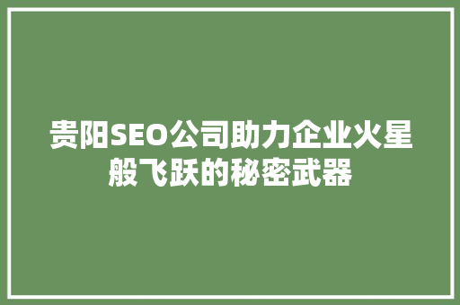 贵阳SEO公司助力企业火星般飞跃的秘密武器